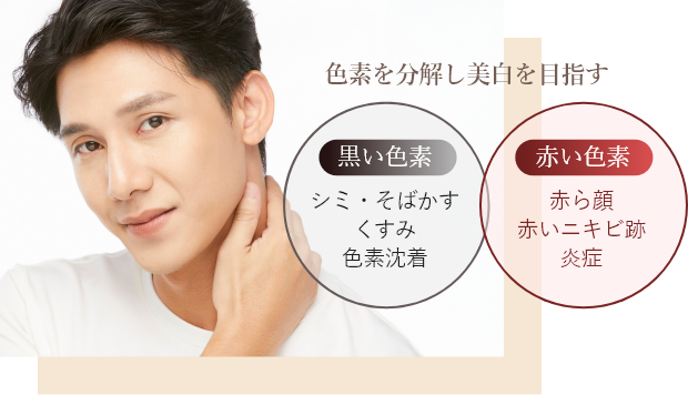 熱エネルギーで色素にアプローチ