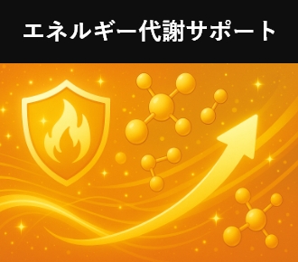 エネルギー代謝サポート