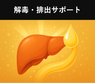 解毒・排出サポート