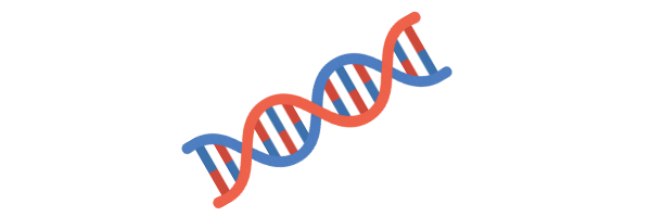 長寿遺伝子(サーチュイン)の活性化