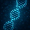遺伝