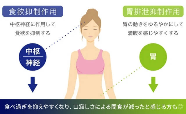 食べ過ぎを抑え、口寂しくて無駄に食べてしまうことがなくなります