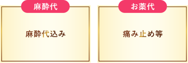 麻酔代込み 痛み止め等