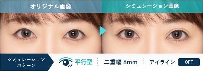 シュミレーション
