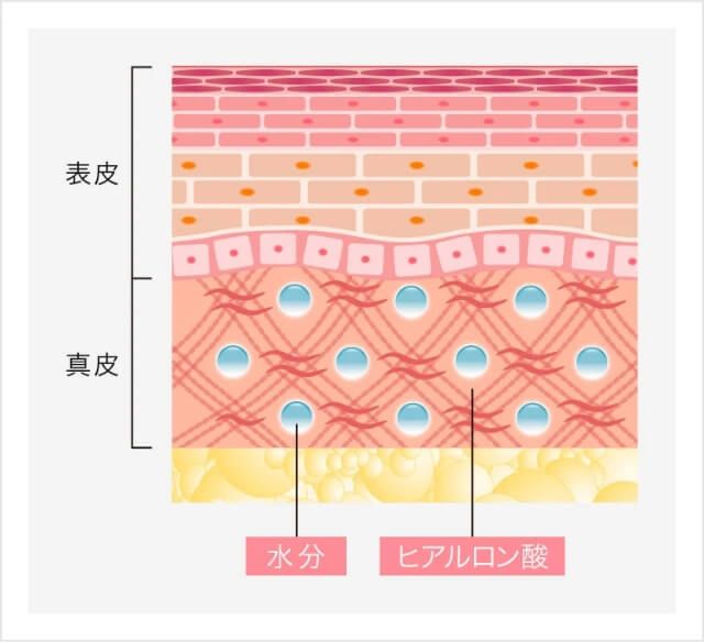 ヒアルロン酸の成分