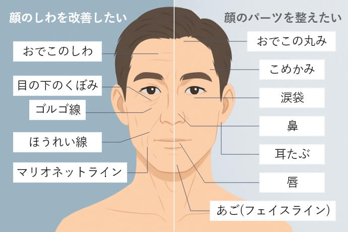ヒアルロン酸注射　対応部位