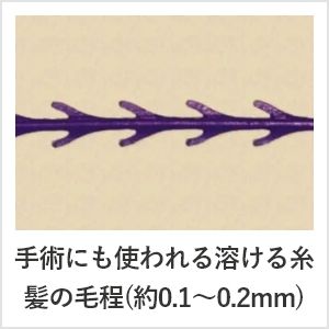 手術にも使われる溶ける糸髪の毛程(約0.1～0.2mm)