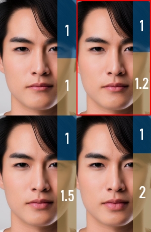 全体的なボリュームのバランス