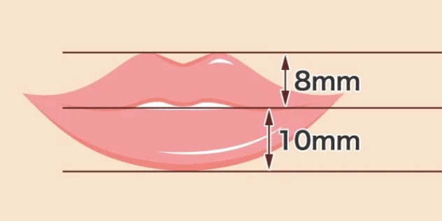 日本人にとって美しい唇のバランス