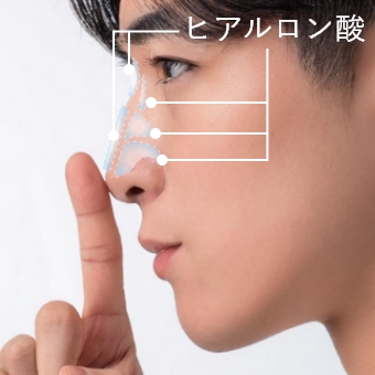 段鼻の凹みに