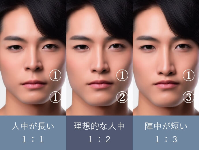 人中が長い1:1 理想的な人中1:2 人中が短い1:3