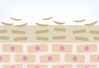 ターンオーバーが崩れることで、肌トラブルが発生します