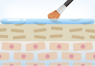 皮膚の角質層～表皮上部層の汚れをやさしく取り除きます