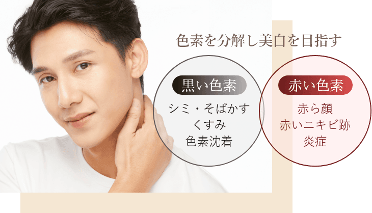 熱エネルギーで色素にアプローチ 透明感のある肌をサポート