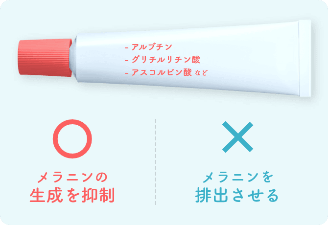 〇メラニンの生成を抑制 ✖メラニンを排出させる