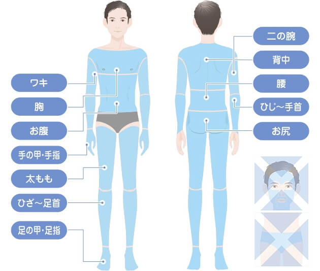 全身脱毛（クイック脱毛）